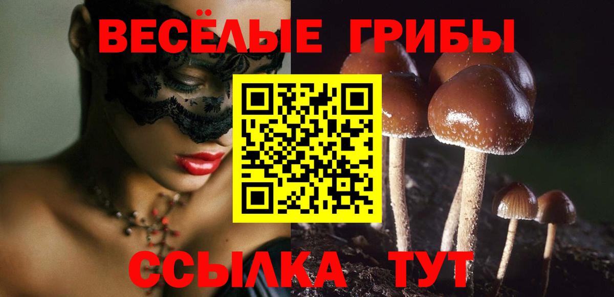 Псилоцибиновые грибы MAGIC MUSHROOMS Реж